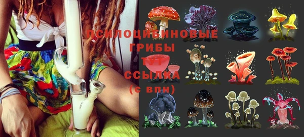 трава Алексеевка
