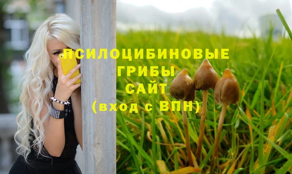 ПСИЛОЦИБИНОВЫЕ ГРИБЫ Алексин