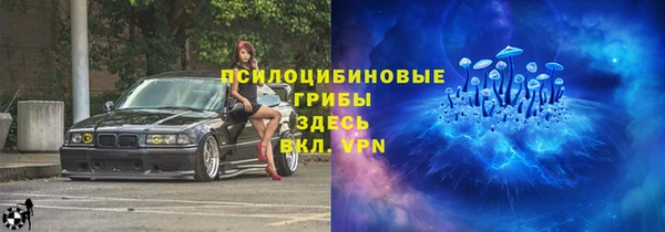 ПСИЛОЦИБИНОВЫЕ ГРИБЫ Алексин