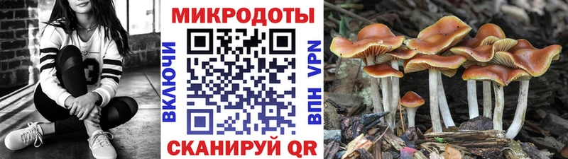 Галлюциногенные грибы мицелий  hydra tor  Нововоронеж 