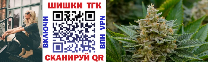 Конопля сатива  ссылка на мегу зеркало  Нововоронеж 